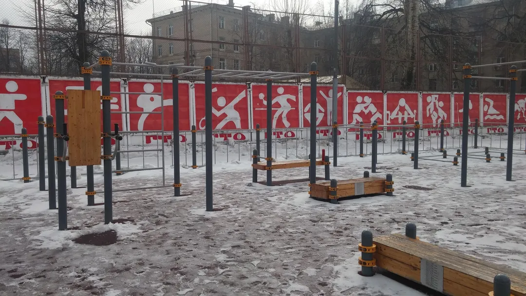 Monkey Bars at Calisthenics Park at Спортивный комплекс «Родина», Химки – photo 3 of 8