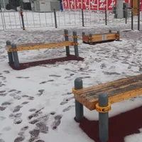 Calisthenics Park at Спортивный комплекс «Родина», Химки - thumbnail 7