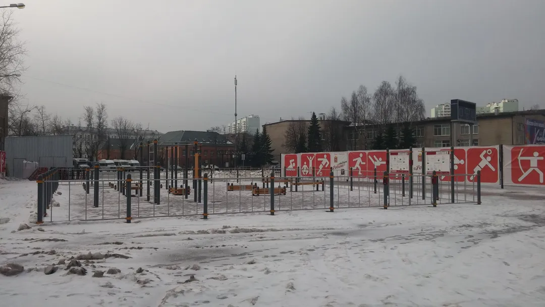 Wall Bars at Calisthenics Park at Спортивный комплекс «Родина», Химки – photo 2 of 8