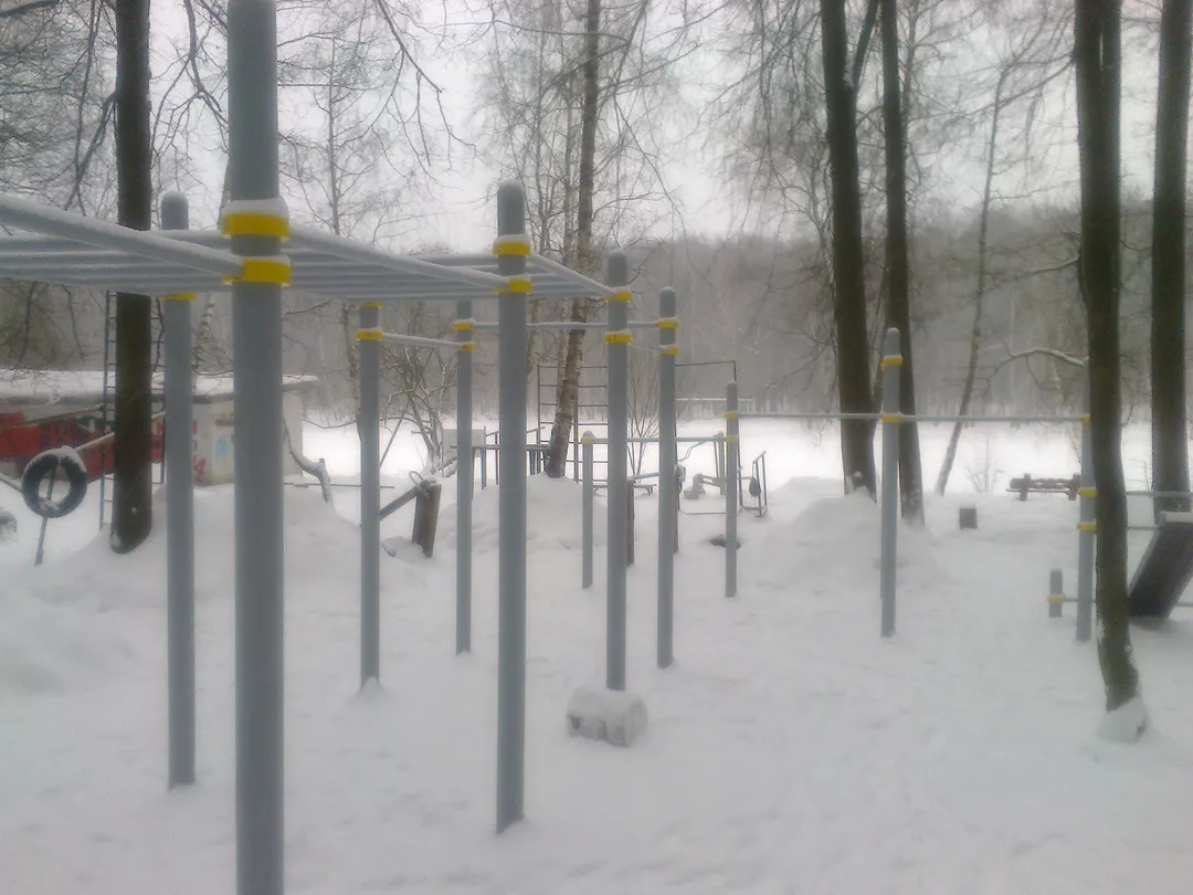 Barre de traction à Calisthenics Park at Главная аллея, Москва – photo 1 sur 3