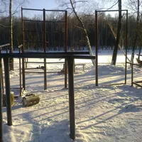Calisthenics Park at Главная аллея, Москва - thumbnail 2