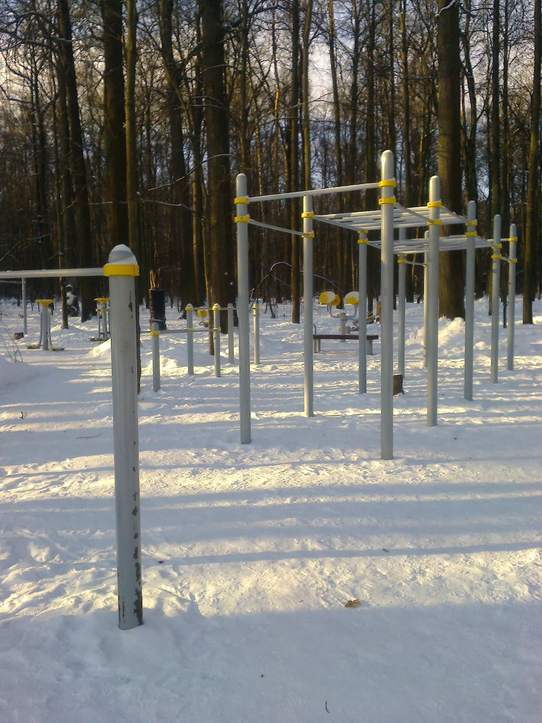 Barres de singe à Calisthenics Park at Главная аллея, Москва – photo 3 sur 3
