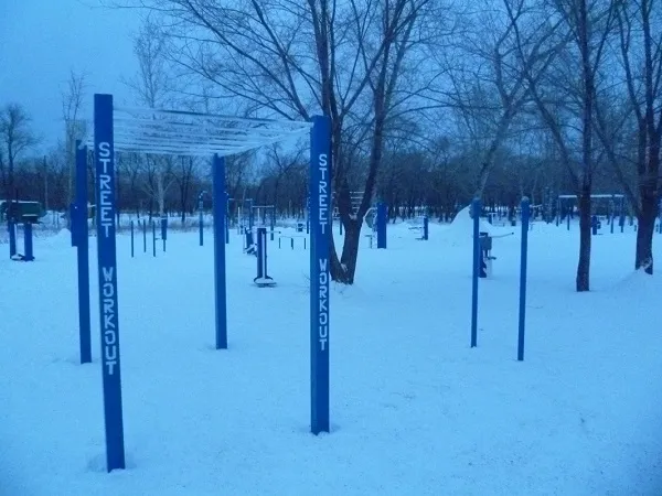 Skieur aérien à Calisthenics Park at улица Гумар Караш, Астана – photo 4 sur 8