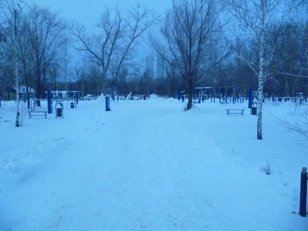 Barres parallèles à Calisthenics Park at улица Гумар Караш, Астана – photo 2 sur 8