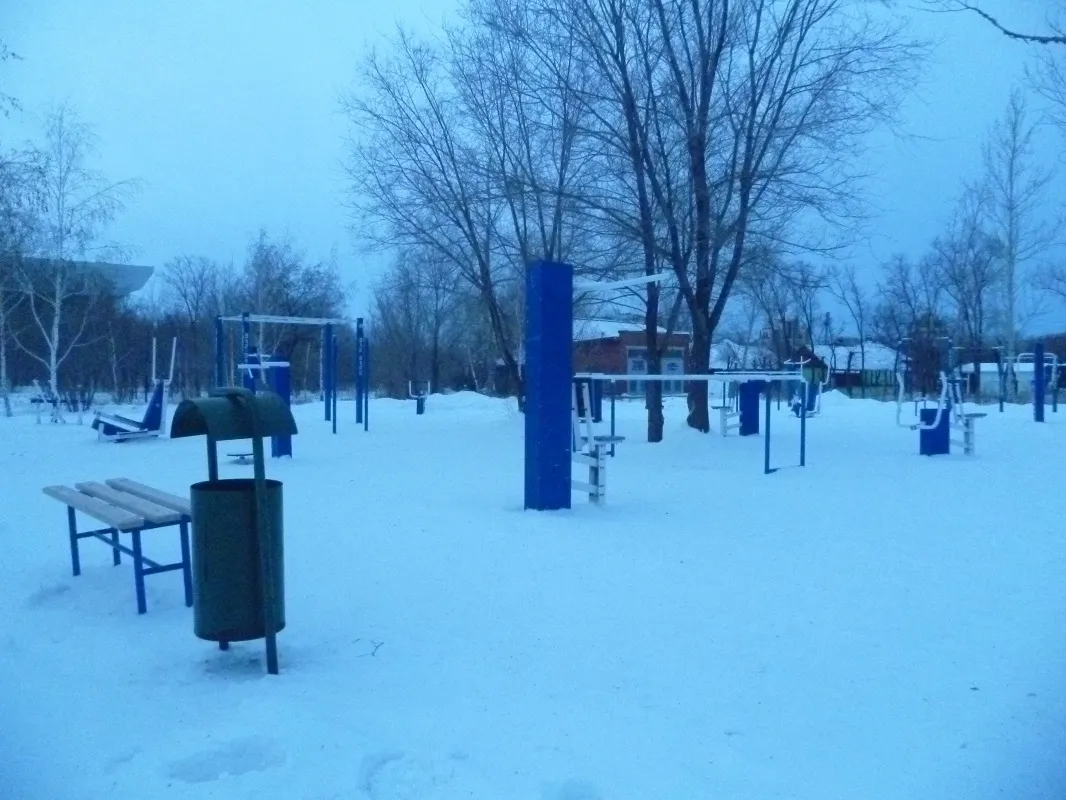 Barres de singe à Calisthenics Park at улица Гумар Караш, Астана – photo 3 sur 8