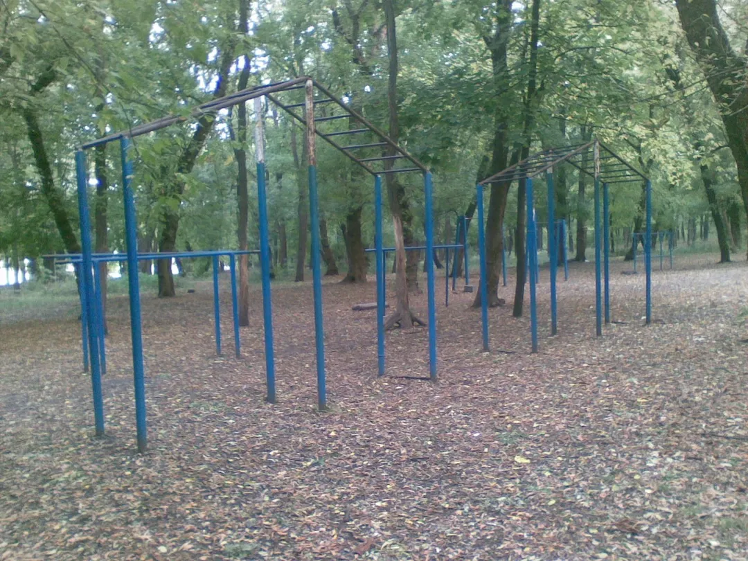 Pull Up Bar at Calisthenics Park at проспект Науки, Дніпро – photo 3 of 4