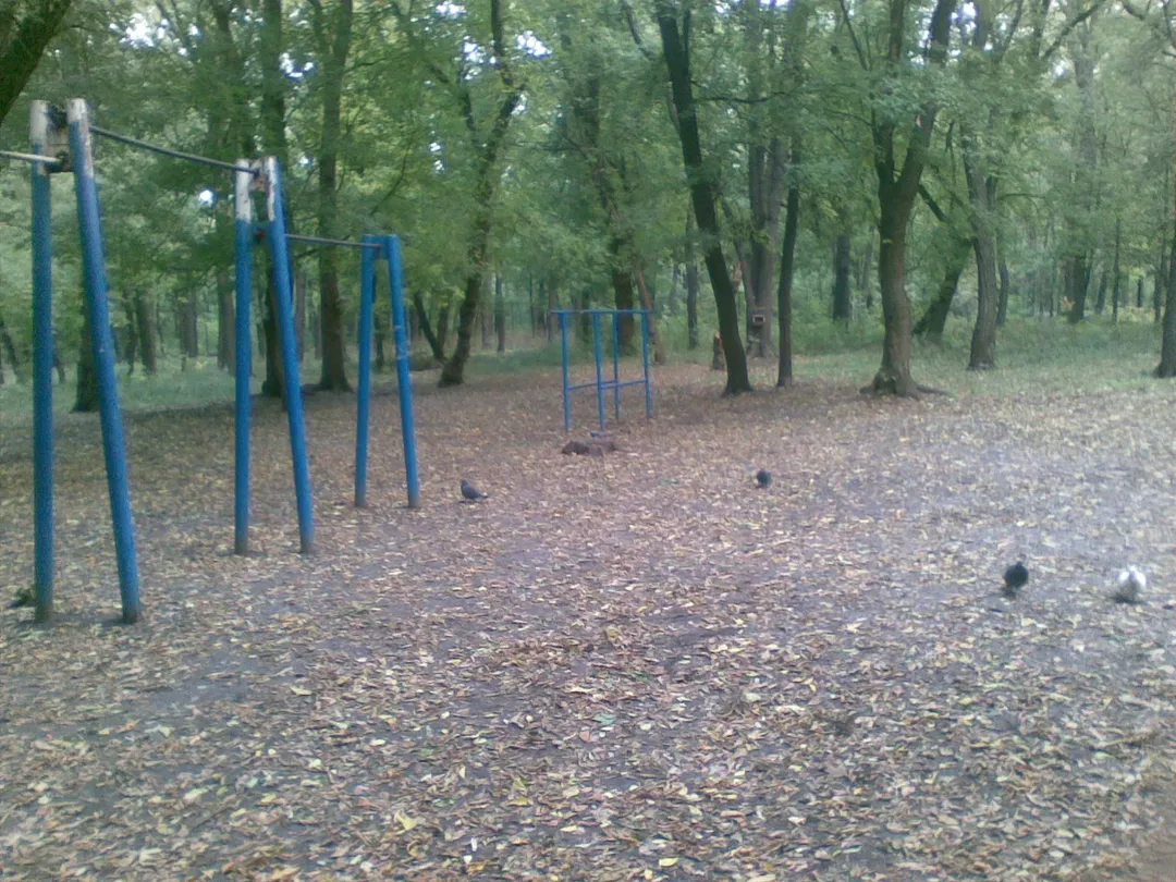 Parallel Gym Bars at Calisthenics Park at проспект Науки, Дніпро – photo 4 of 4