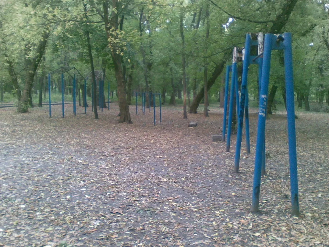 Parallel Gym Bars at Calisthenics Park at проспект Науки, Дніпро – photo 2 of 4