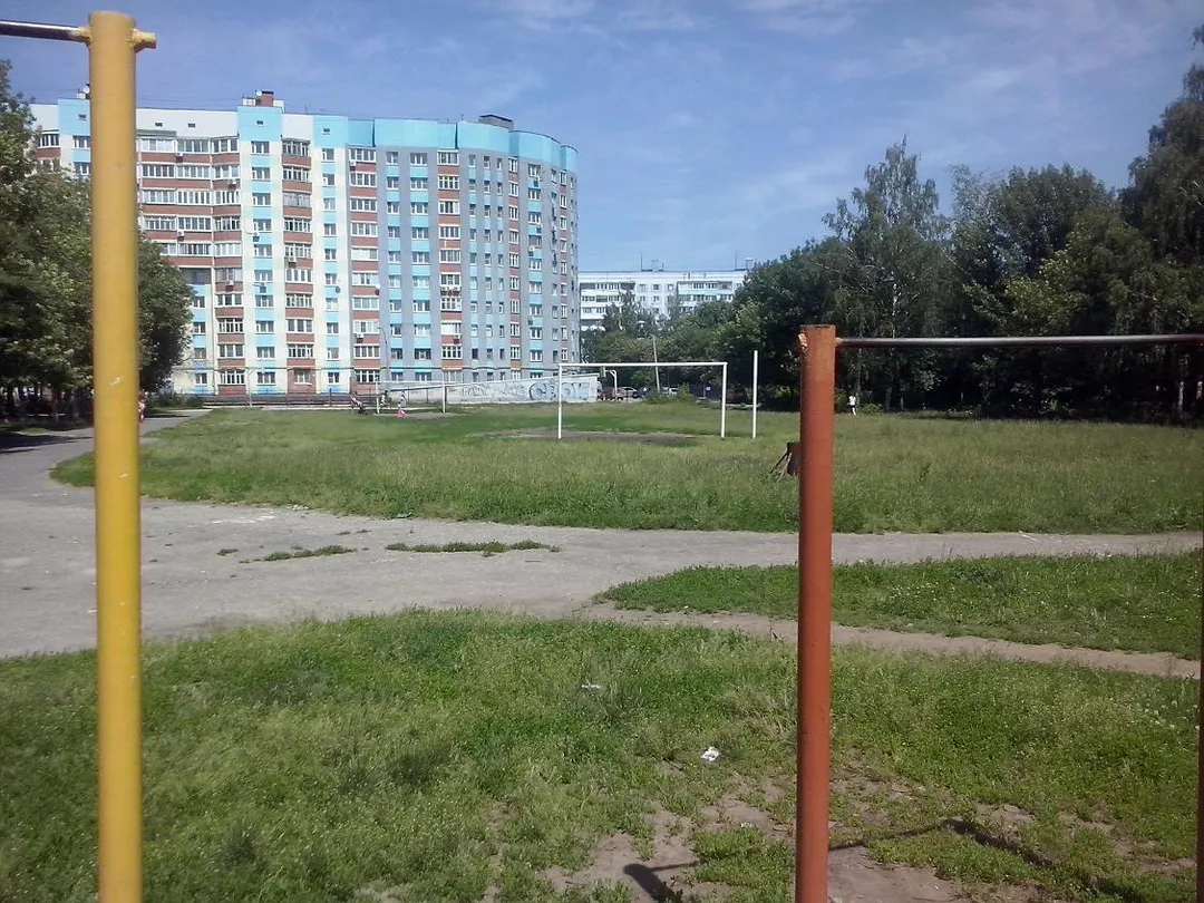 Wall Bars at Calisthenics Park at улица Гагарина, городской округ Рязань – photo 12 of 16