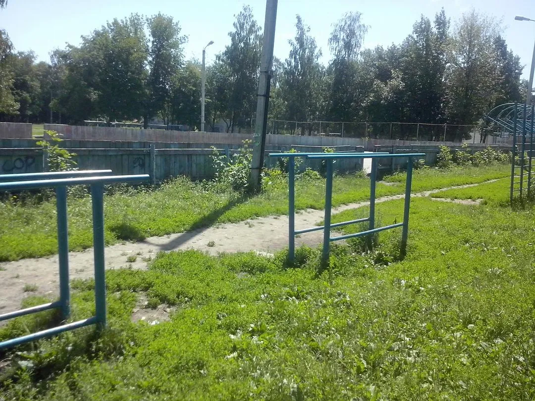Parallel Gym Bars at Calisthenics Park at улица Гагарина, городской округ Рязань – photo 2 of 16