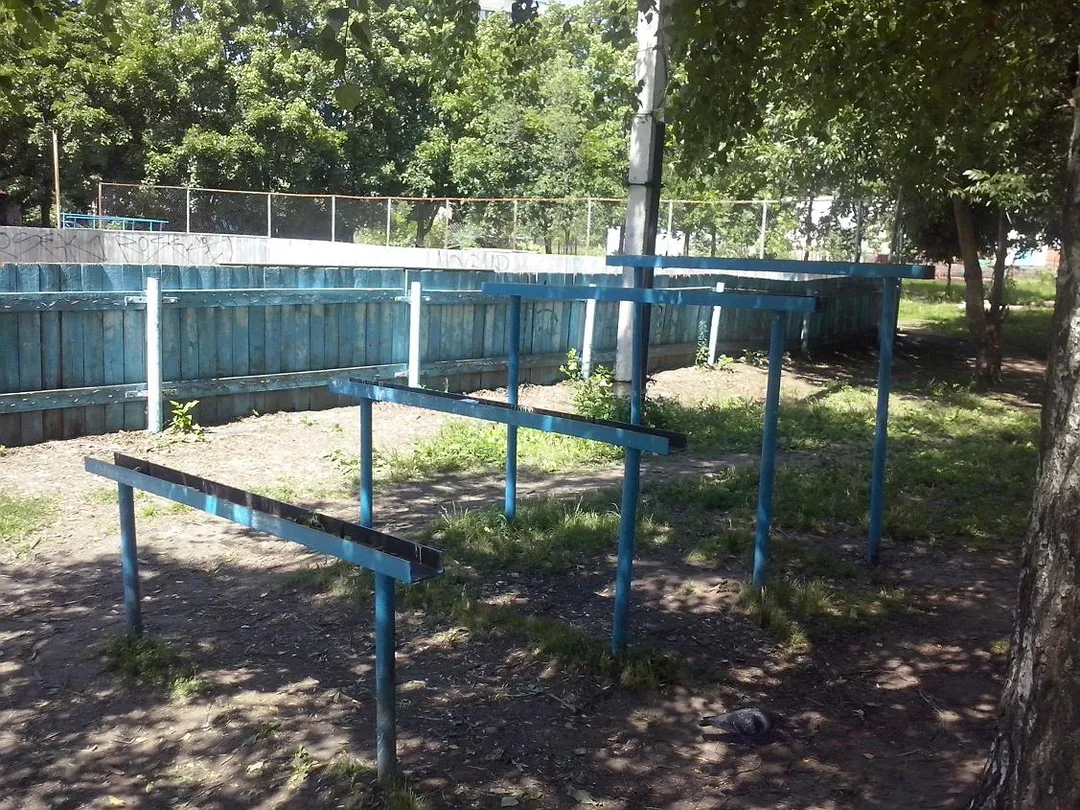 Monkey Bars at Calisthenics Park at улица Гагарина, городской округ Рязань – photo 11 of 16