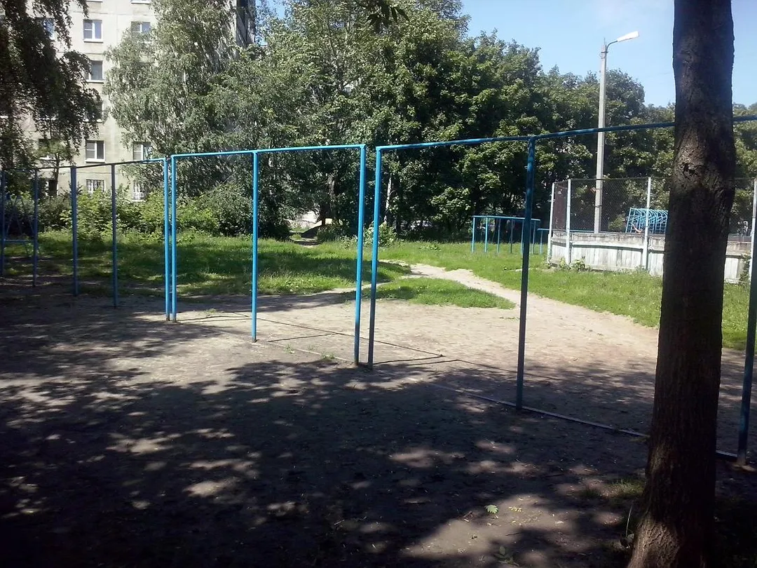 Monkey Bars at Calisthenics Park at улица Гагарина, городской округ Рязань – photo 7 of 16