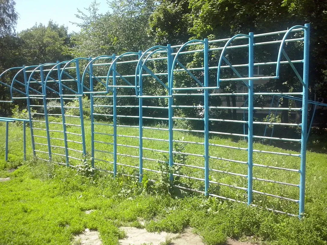 Monkey Bars at Calisthenics Park at улица Гагарина, городской округ Рязань – photo 3 of 16
