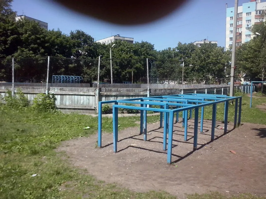 Wall Bars at Calisthenics Park at улица Гагарина, городской округ Рязань – photo 8 of 16
