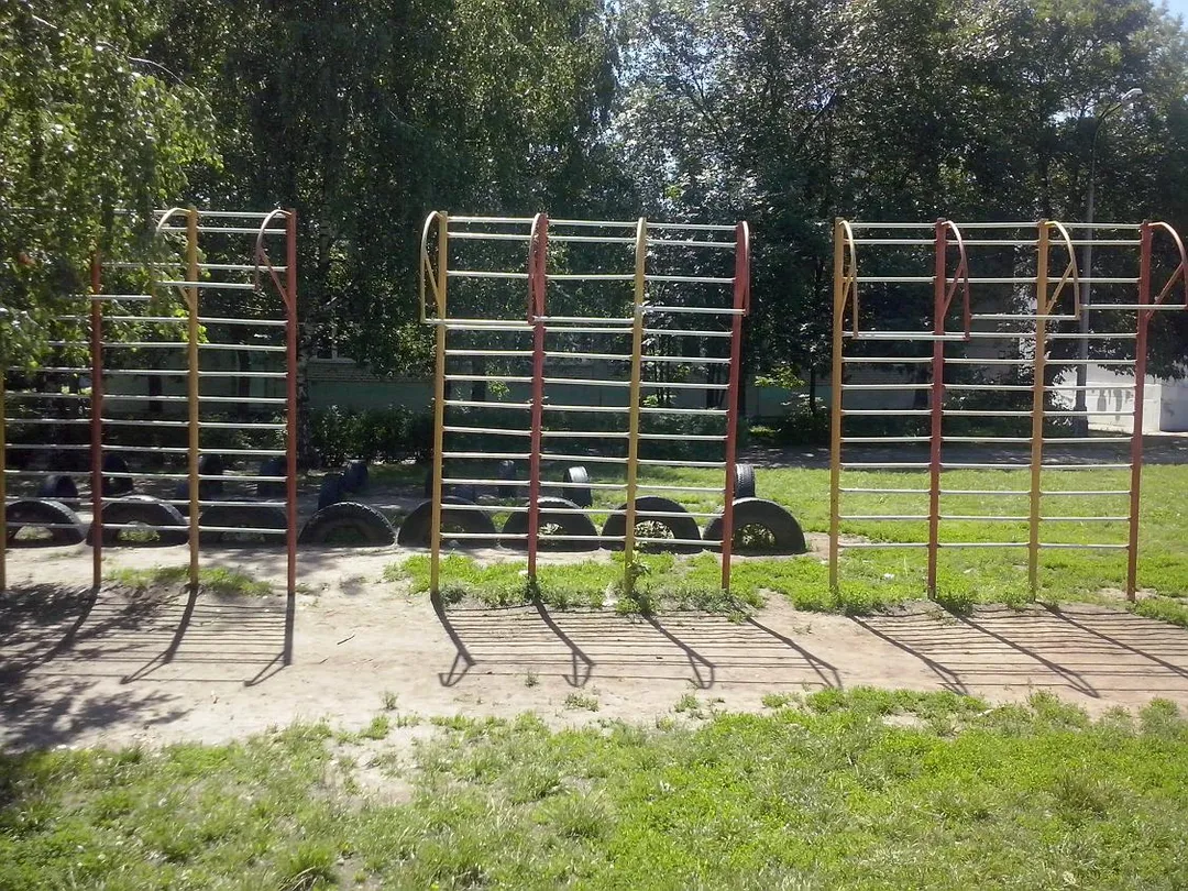 Monkey Bars at Calisthenics Park at улица Гагарина, городской округ Рязань – photo 15 of 16