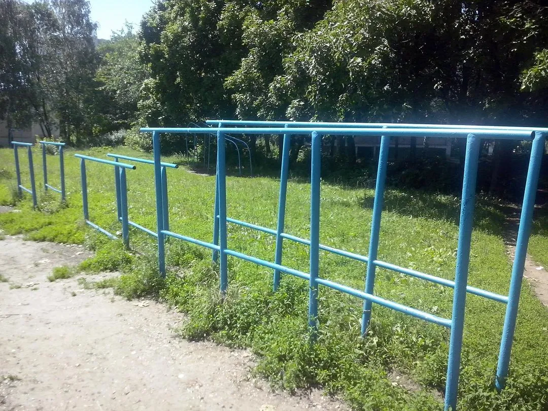 Pull Up Bar at Calisthenics Park at улица Гагарина, городской округ Рязань – photo 1 of 16