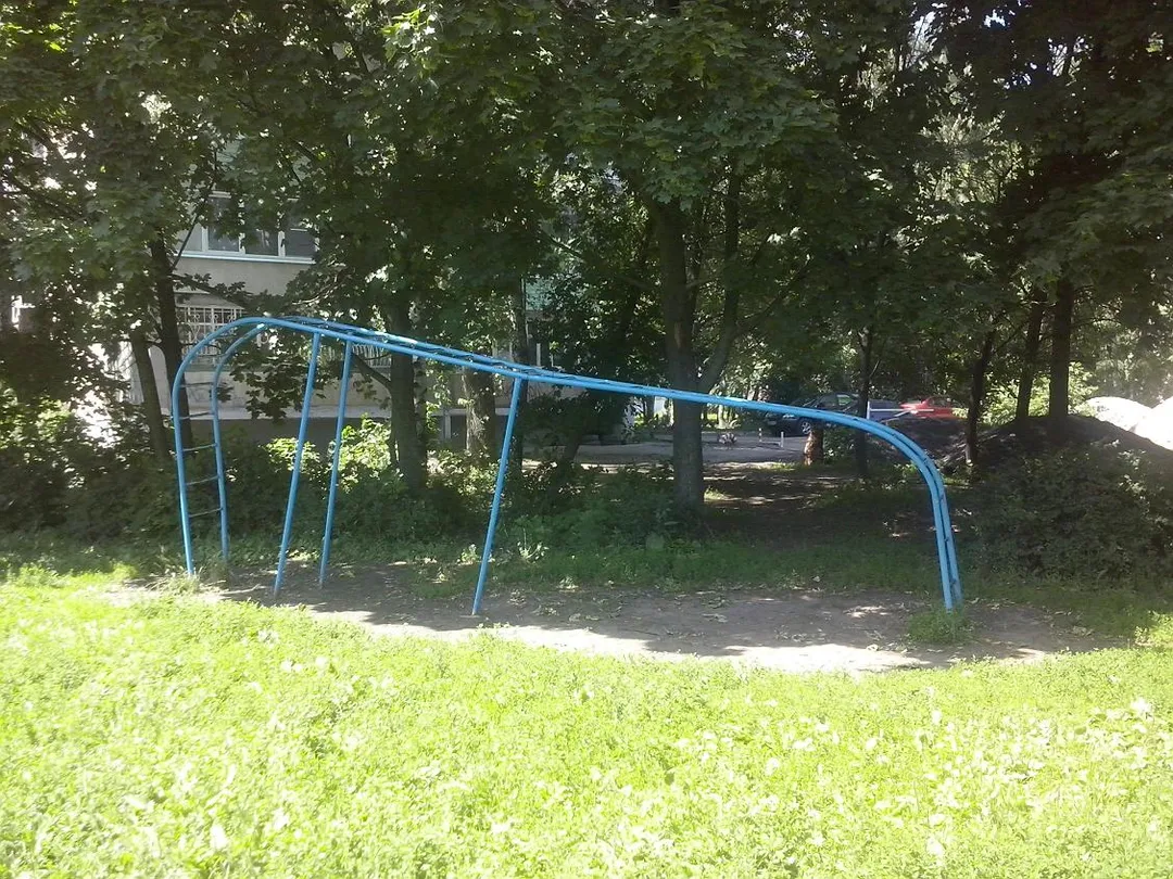 Wall Bars at Calisthenics Park at улица Гагарина, городской округ Рязань – photo 4 of 16