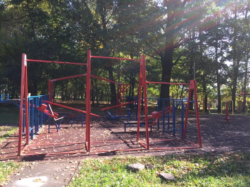 Spalier la Calisthenics Park at Керамический проезд, Москва #wp1823 – fotografia 4 din 4