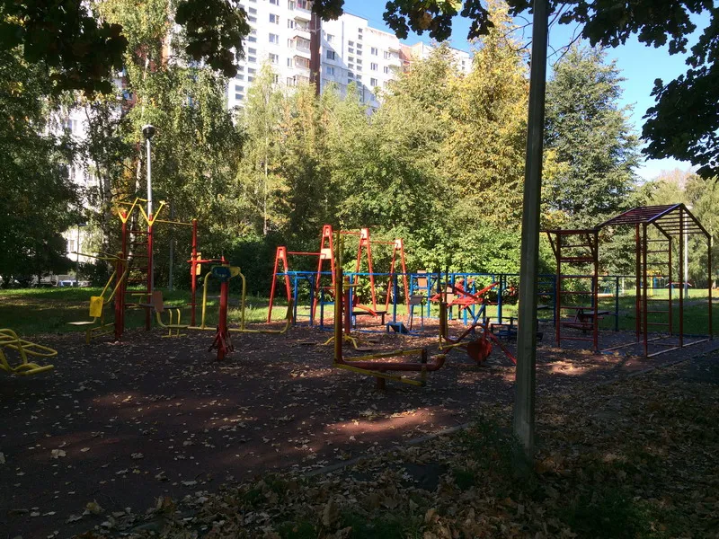Monkey Bars la Calisthenics Park at Керамический проезд, Москва #wp1823 – fotografia 3 din 4
