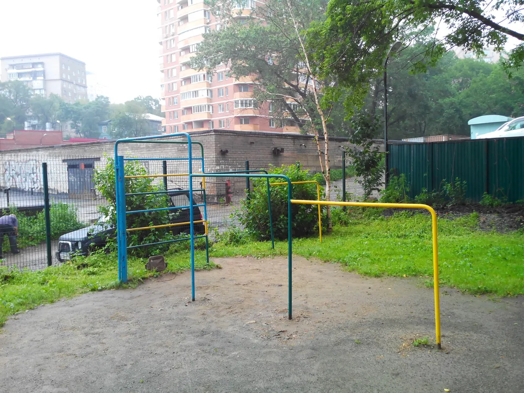 Pull Up Bar at Calisthenics Park at проспект Красного Знамени, Владивосток – photo 1 of 2