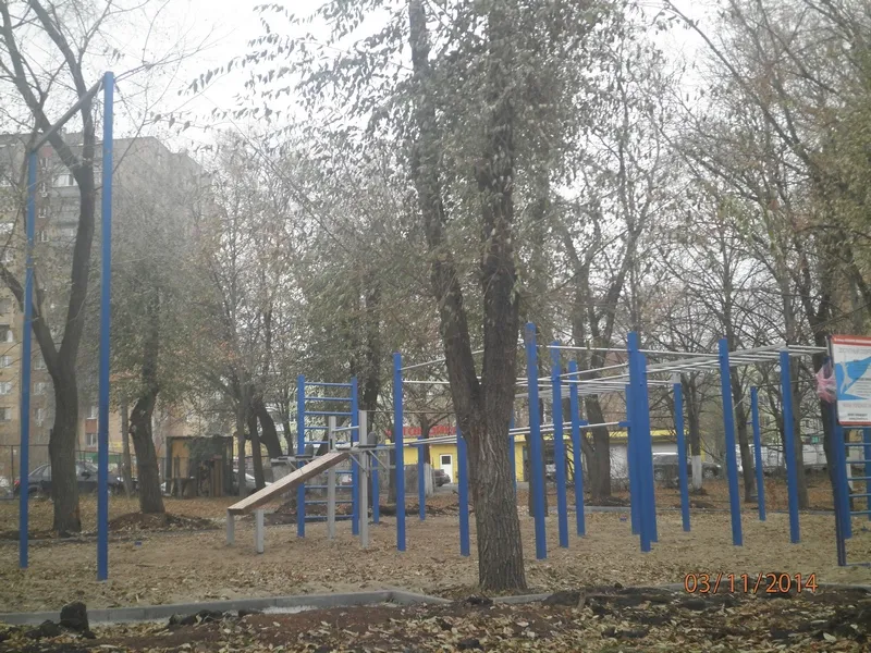 Monkey Bars at Calisthenics Park at Аэродромная улица, Самара – photo 3 of 10