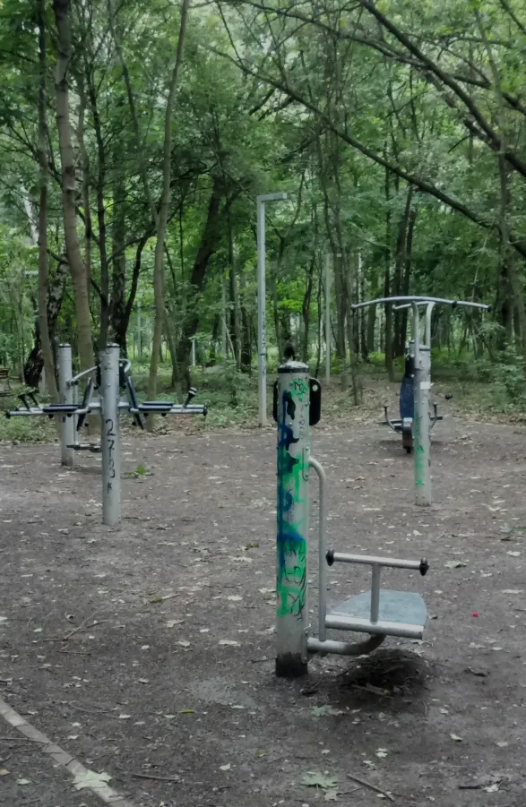 Bară de tracțiuni la Calisthenics Park at Базовская улица, Москва – fotografia 6 din 6