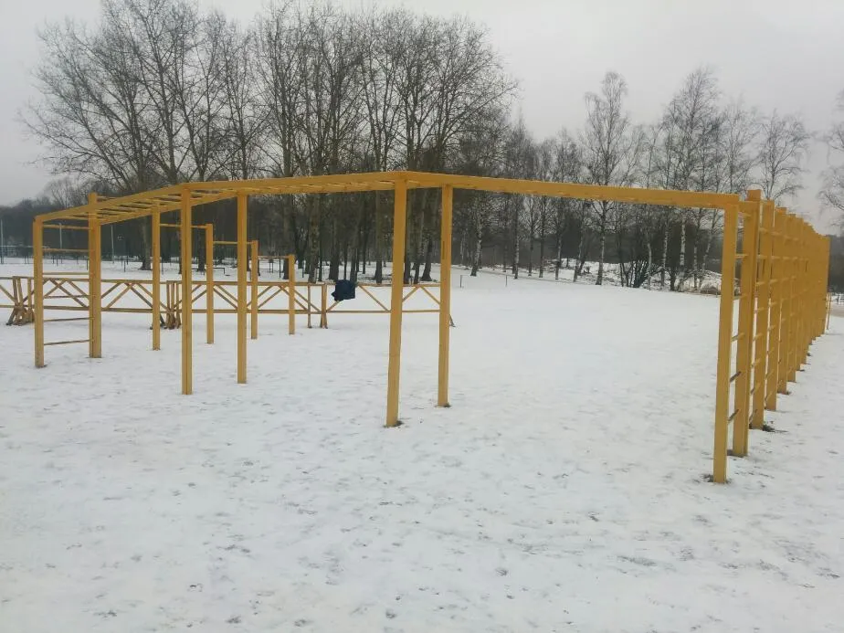 Bare paralele la Calisthenics Park at Авангардная улица, Санкт-Петербург – fotografia 2 din 3