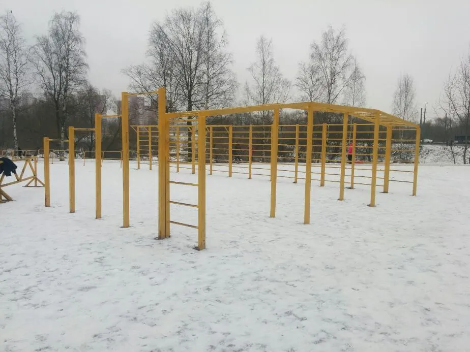 Monkey Bars la Calisthenics Park at Авангардная улица, Санкт-Петербург – fotografia 3 din 3