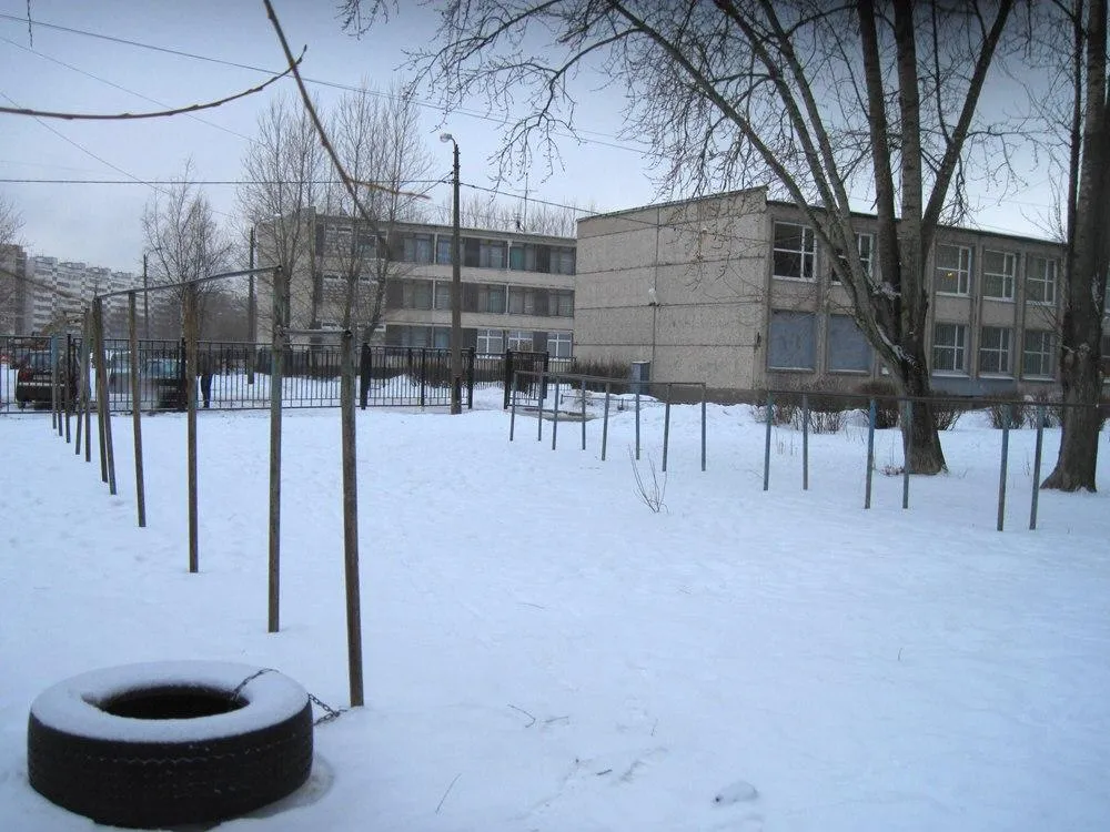 Parallele presso Calisthenics Park at улица Добровольцев, Санкт-Петербург – foto 2 di 2