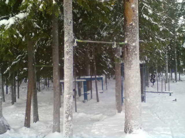 Calisthenics Park at Советская улица, Костомукша