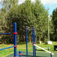 Calisthenics Park at аллея Дорога Жизни, Москва - thumbnail 2