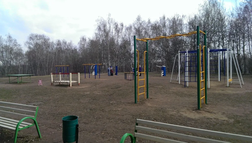 Wall Bars at Calisthenics Park at аллея Дорога Жизни, Москва – photo 7 of 7