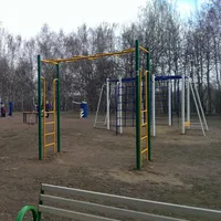 Calisthenics Park at аллея Дорога Жизни, Москва - thumbnail 7