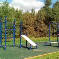Calisthenics Park at аллея Дорога Жизни, Москва - thumbnail 1