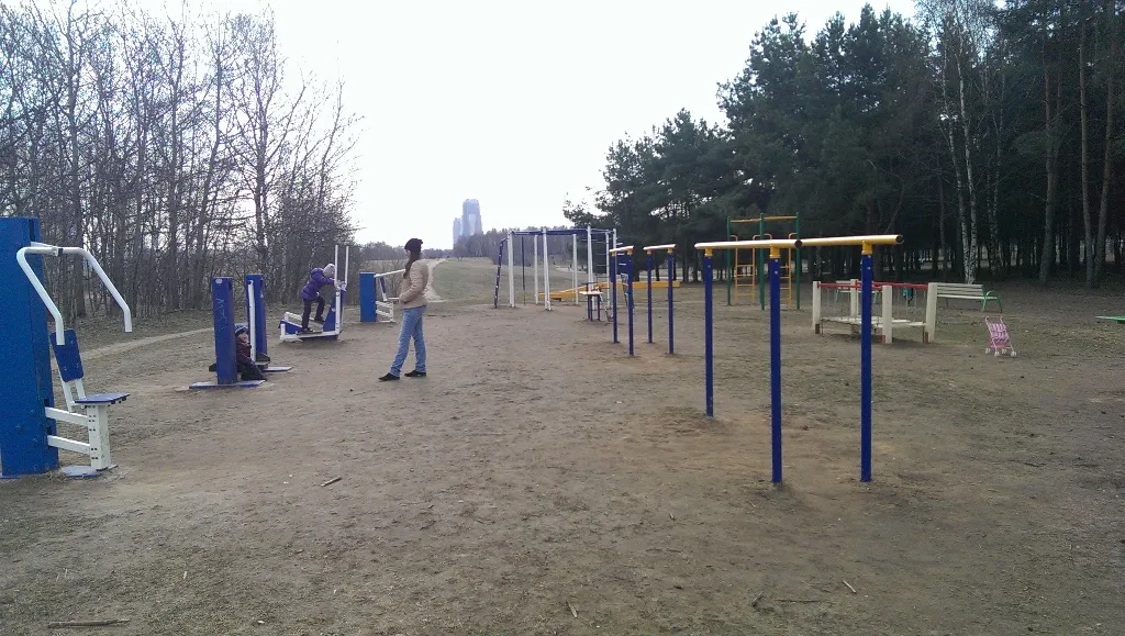 Air Walker at Calisthenics Park at аллея Дорога Жизни, Москва – photo 5 of 7