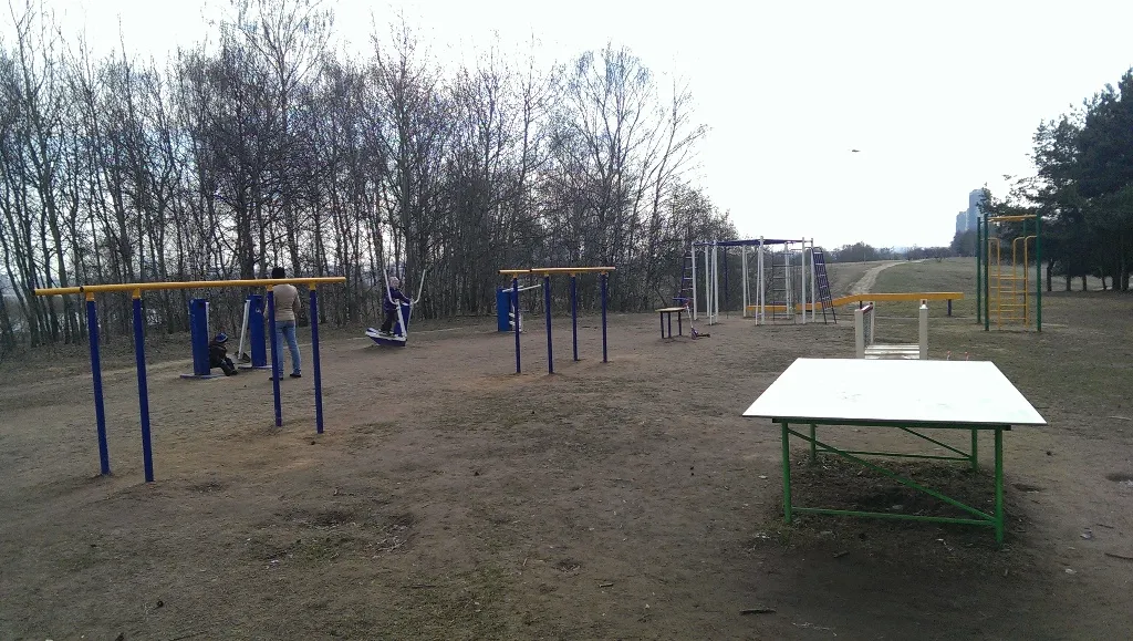 Cross Country Skier at Calisthenics Park at аллея Дорога Жизни, Москва – photo 6 of 7