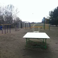 Calisthenics Park at аллея Дорога Жизни, Москва - thumbnail 6