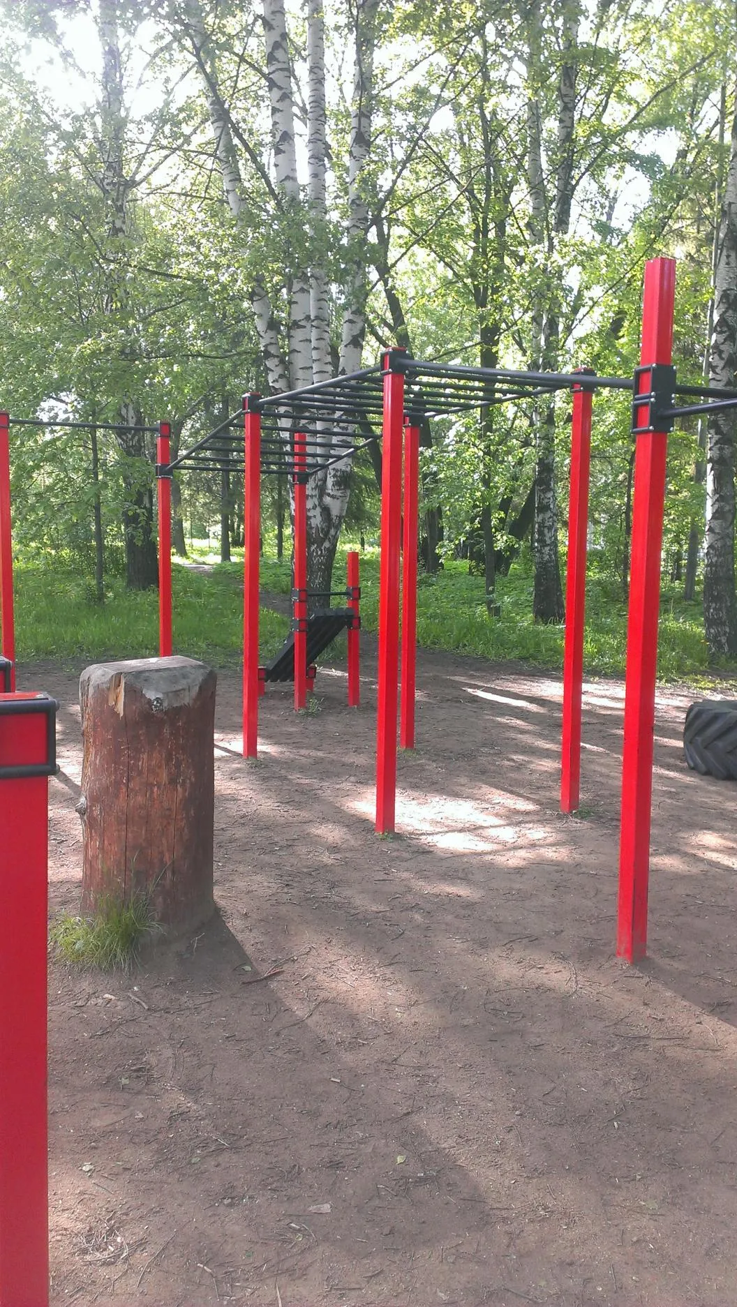 Monkey Bars at Calisthenics Park at Университетская улица, городской округ Ижевск – photo 3 of 5