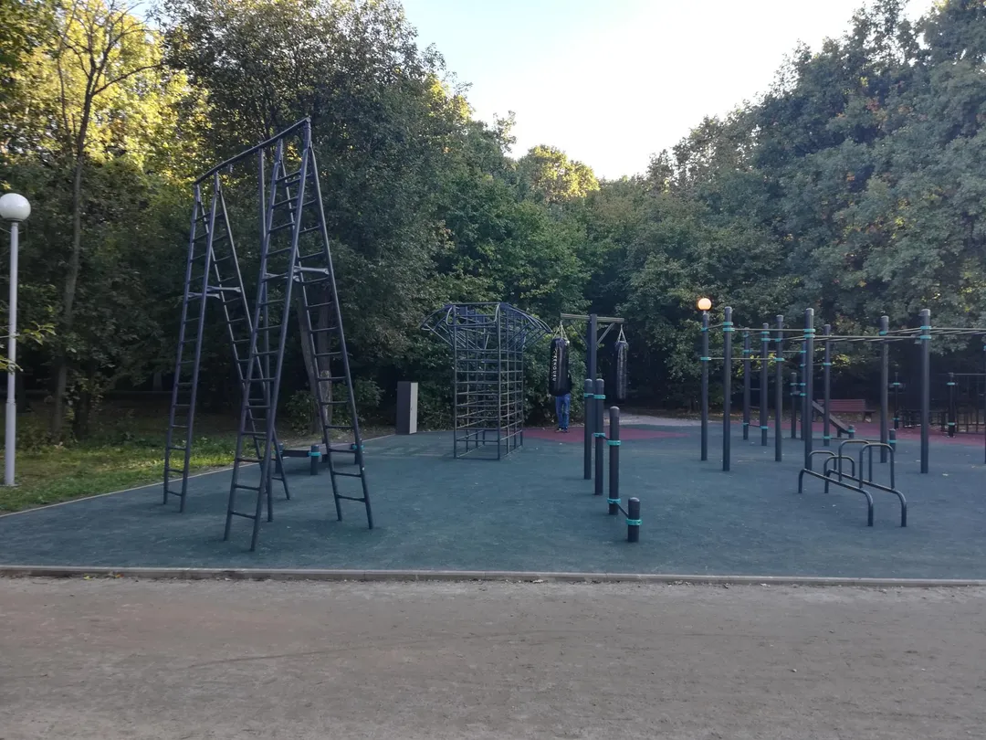 Bară de flotări la Calisthenics Park at улица Академика Пилюгина, Москва #wp1846 – fotografia 2 din 4
