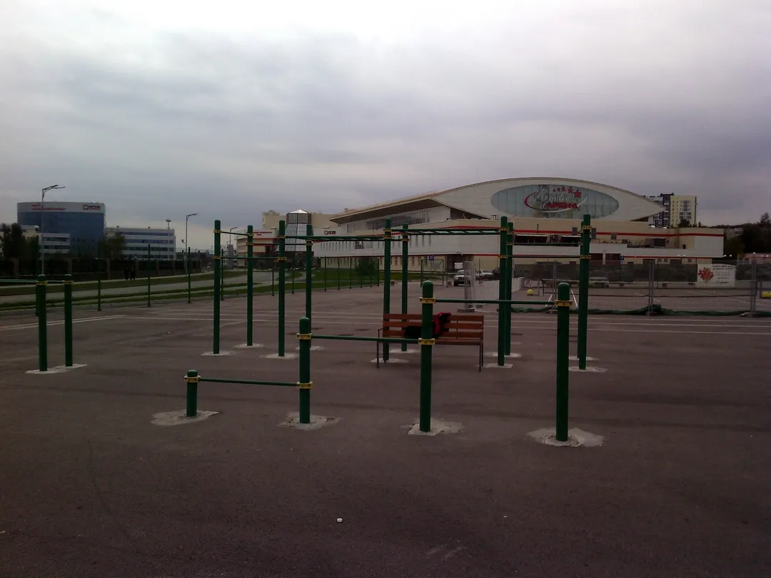 Barra de Dominadas en Calisthenics Park at улица Спицына, Верхняя Пышма – foto 1 de 1