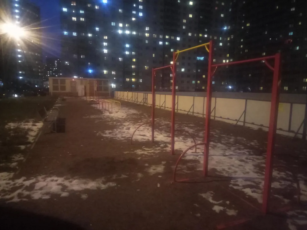 Push Up Bar at Calisthenics Park at Охтинская аллея, Мурино – photo 2 of 2
