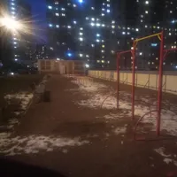Calisthenics Park at Охтинская аллея, Мурино - thumbnail 2