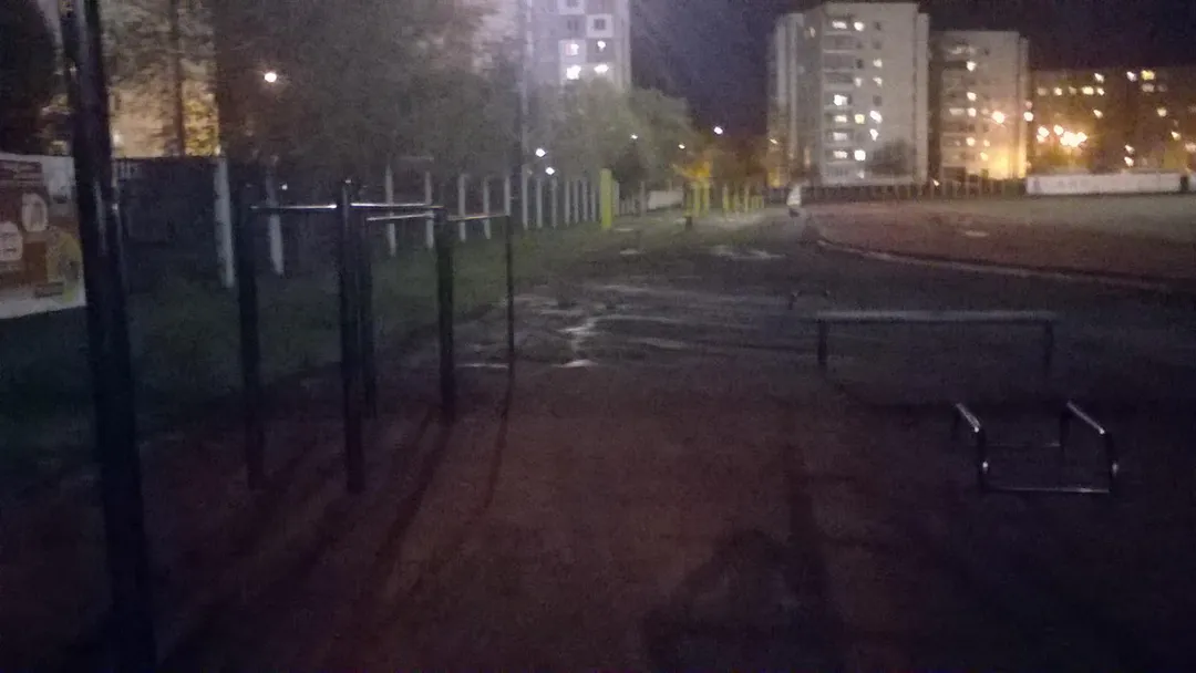 Рукоход на площадке Calisthenics Park at переулок Энергетиков, Челябинск – фото 3 из 3