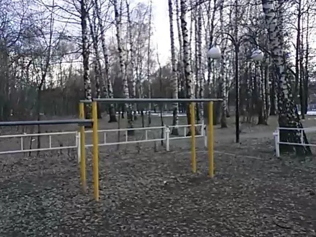 Barre de traction à Calisthenics Park at Искра, Люберцы – photo 5 sur 6
