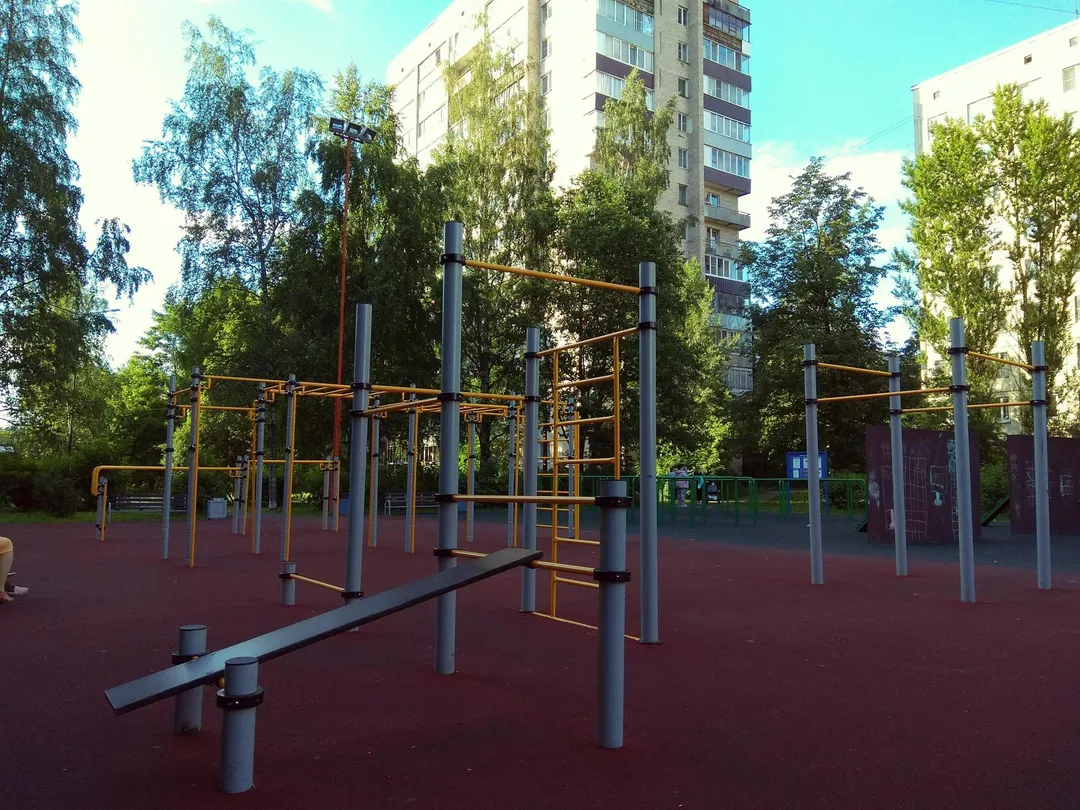 Maniglie per piegamenti presso Calisthenics Park at улица Подвойского, Санкт-Петербург #wp1857 – foto 2 di 3