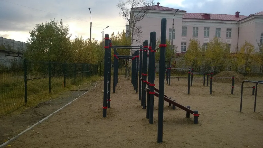 Monkey Bars at Calisthenics Park at Строительный проезд, Мончегорск – photo 3 of 4
