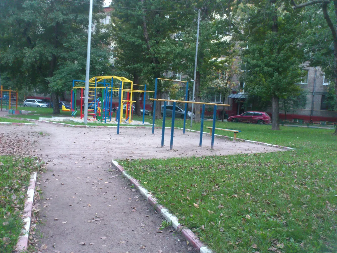 Bară de tracțiuni la Calisthenics Park at 3-я улица Соколиной Горы, Москва – fotografia 1 din 3
