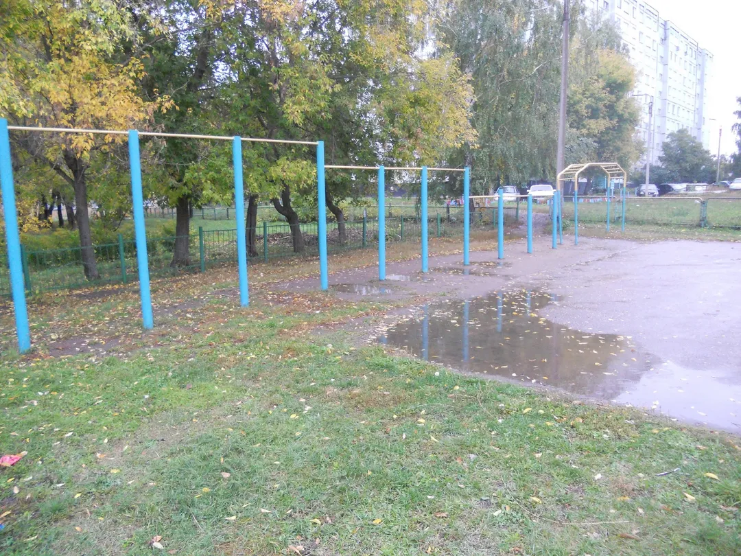 Barras de Mono en Calisthenics Park at улица Маршала Жукова, Набережные Челны – foto 3 de 4