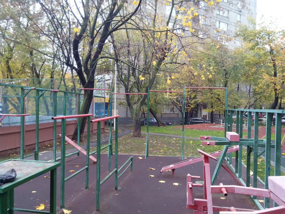 Monkey Bars la Calisthenics Park at улица Правды, Москва – fotografia 3 din 4