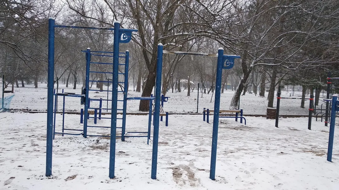 Barras de Mono en Calisthenics Park at Алея Дружби, Симферополь – foto 9 de 17